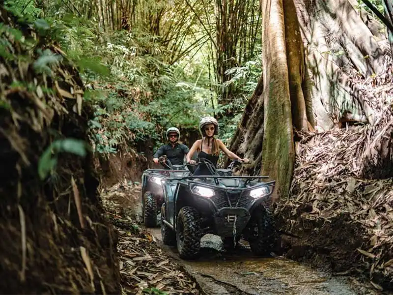 alasan adventurea