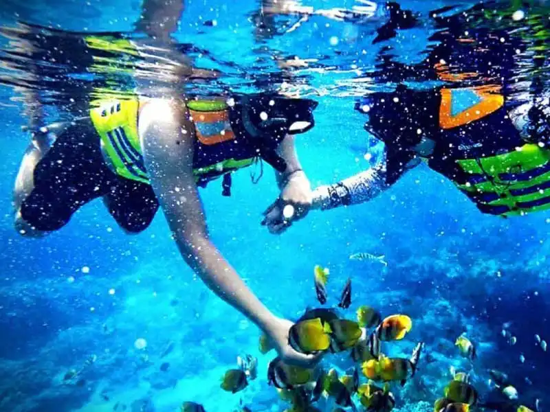 blue lagoon snorkeling