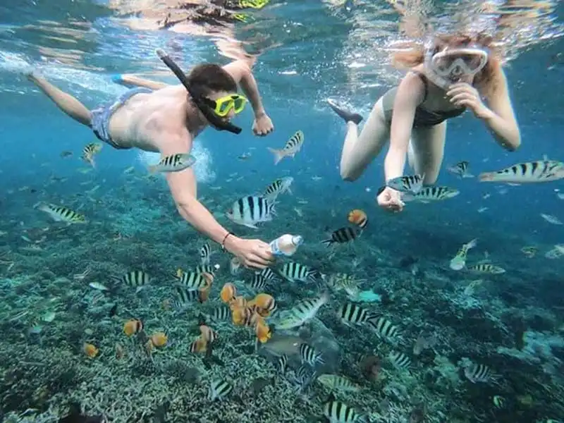 blue lagoon snorkeling