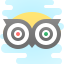 tripadvisor