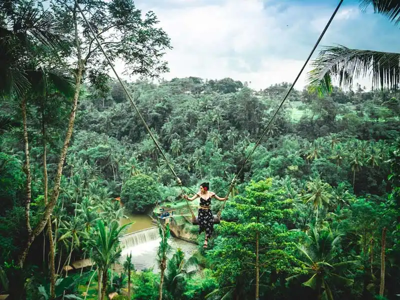 jungle swing ubud