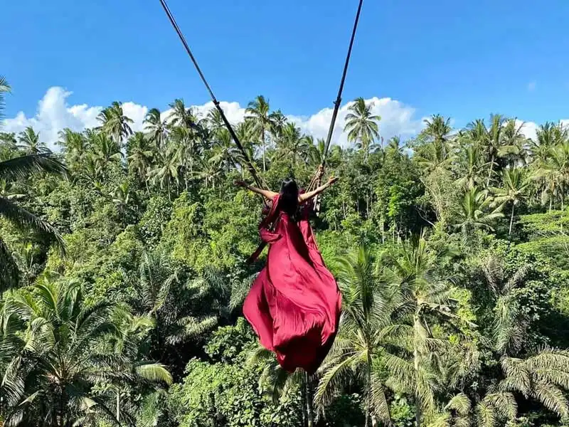 jungle swing ubud