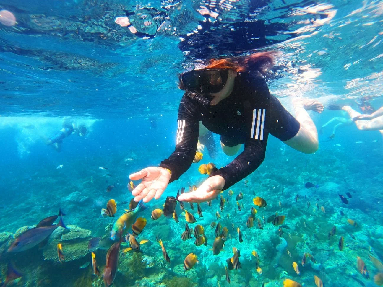The Best Snorkeling Spots in Bali