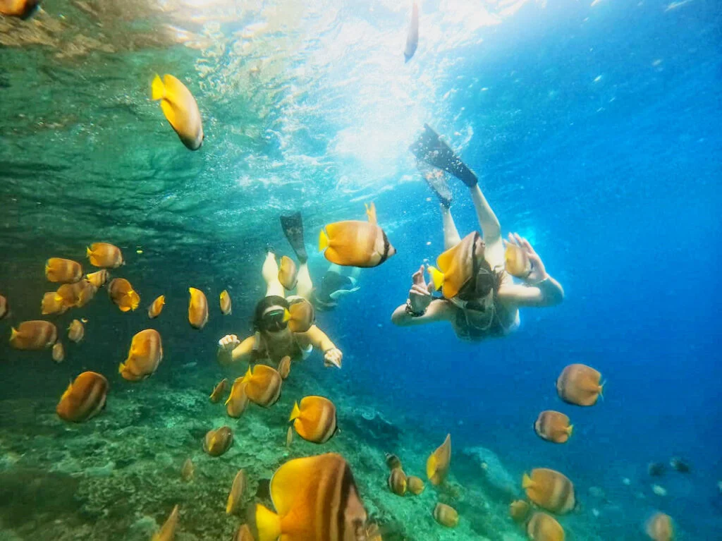 snorkeling nusa penida